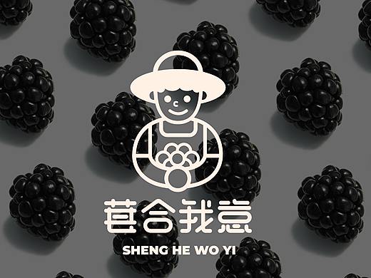 “葚合我意”桑葚酒品牌形象设计