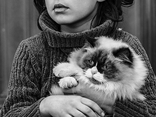 女孩的猫