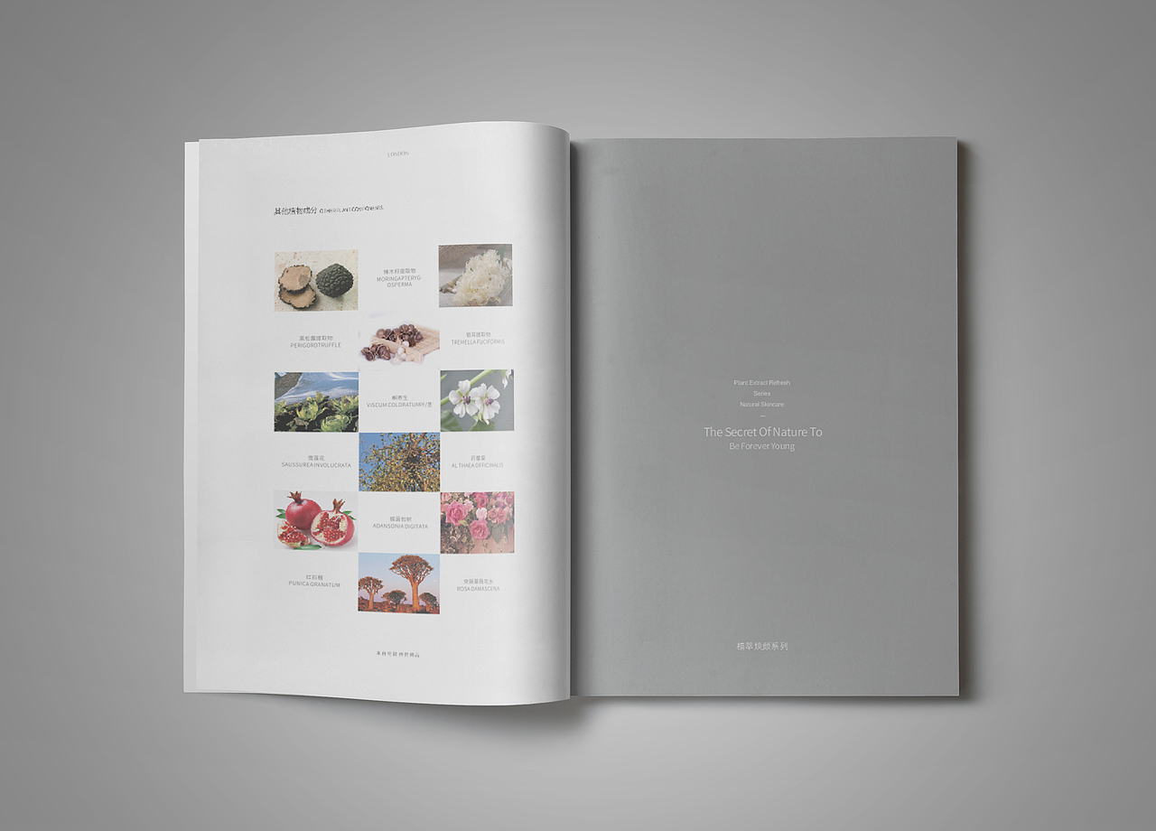 A-2000 品牌画册（图ZOTgwNTMwMzY=） - 书籍/画册 - 站酷设计师Double丶H原创素材 - 站酷ZCOOL