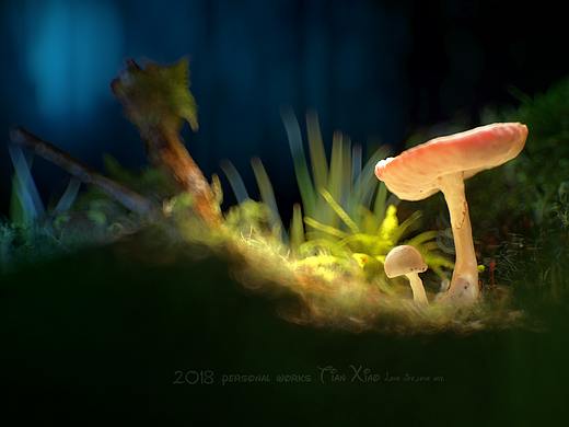 过年前最后一张，发完就撤飙。