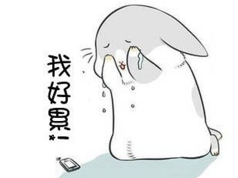 作业01