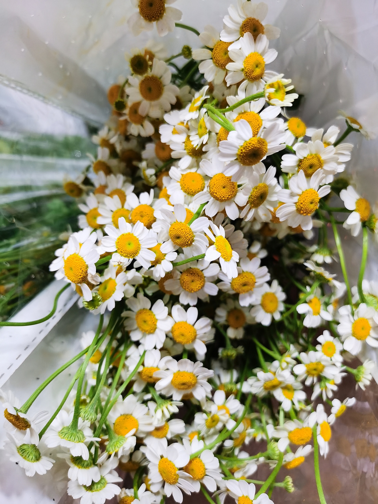 惊喜可以自己去寻找