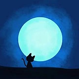 冬意丨的头像