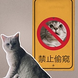 士多啤梨丨甛的头像