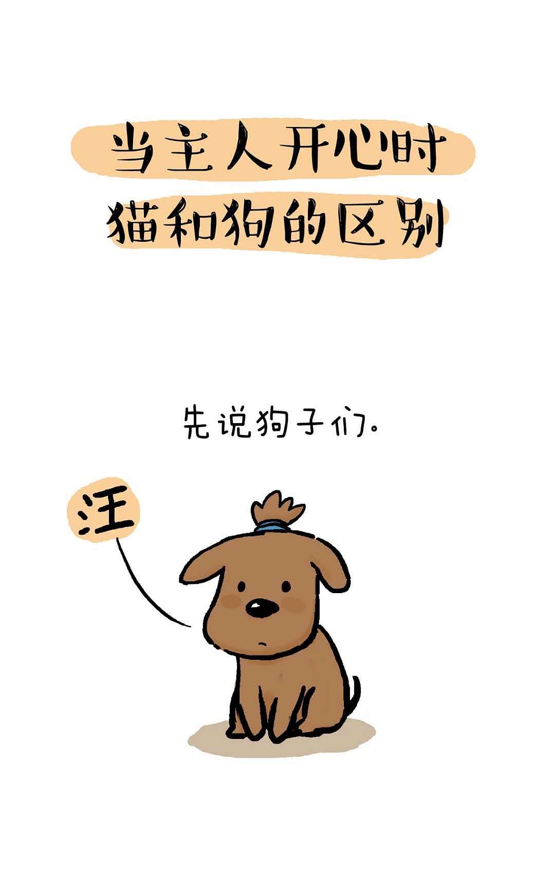 猫和狗还真是不一样！（图ZMTU4NjM2MzIw） - 短篇/格漫 - 站酷设计师歪理猫原创素材 - 站酷ZCOOL