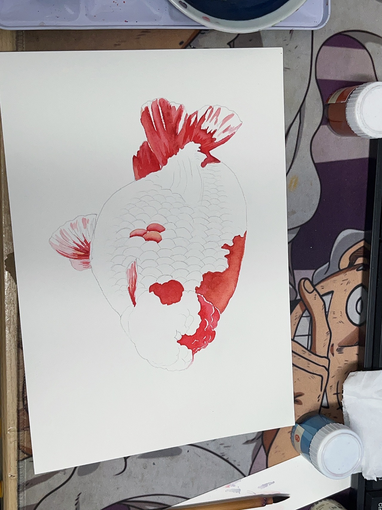 紅白蘭壽（魚友定義畫附過程）（圖ZMzgwNTMyMjU2） - 繪畫 - 站酷設(shè)計師風(fēng)蓮原創(chuàng)素材 - 站酷ZCOOL