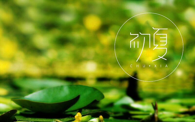 攒了一波字体帮（图ZNzk0MTI1NjQ=） - 字体/字形 - 站酷设计师烦了_大叔原创素材 - 站酷ZCOOL