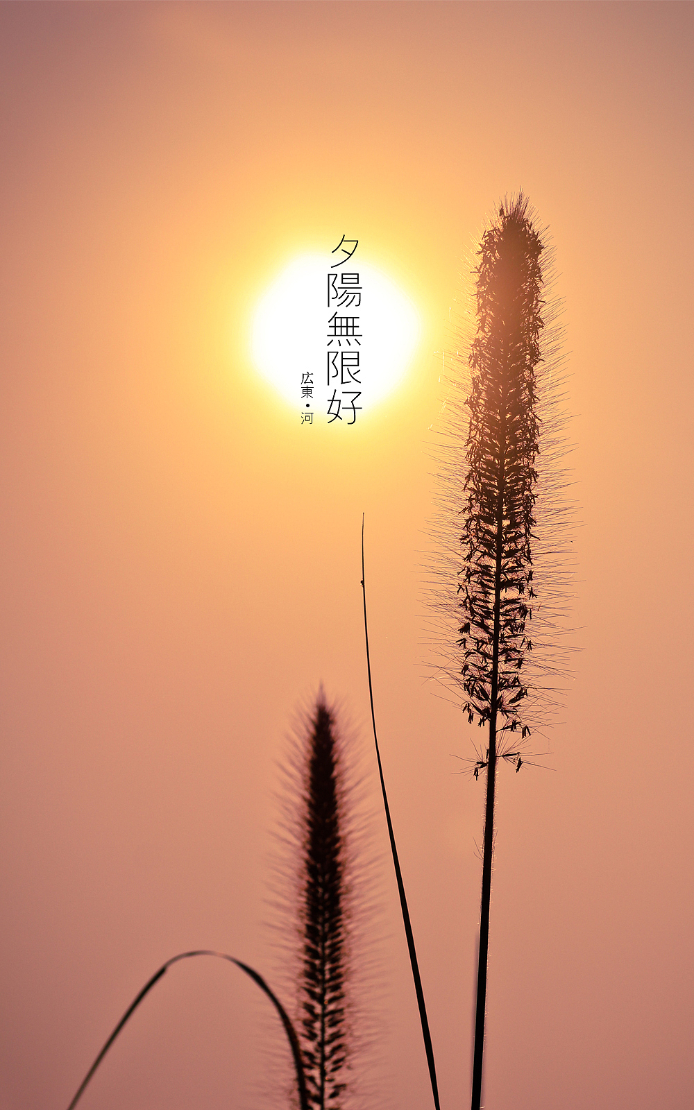 日出，日落，星空，夜。（下集）（图ZMTE3OTI5Njg=） - 风光摄影 - 站酷设计师michaelpst原创素材 - 站酷ZCOOL