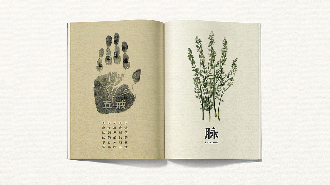 正和岛年刊概念设计（图ZMTg2OTgwNjAw） - 书籍/画册 - 站酷设计师Acebrand艾思原创素材 - 站酷ZCOOL