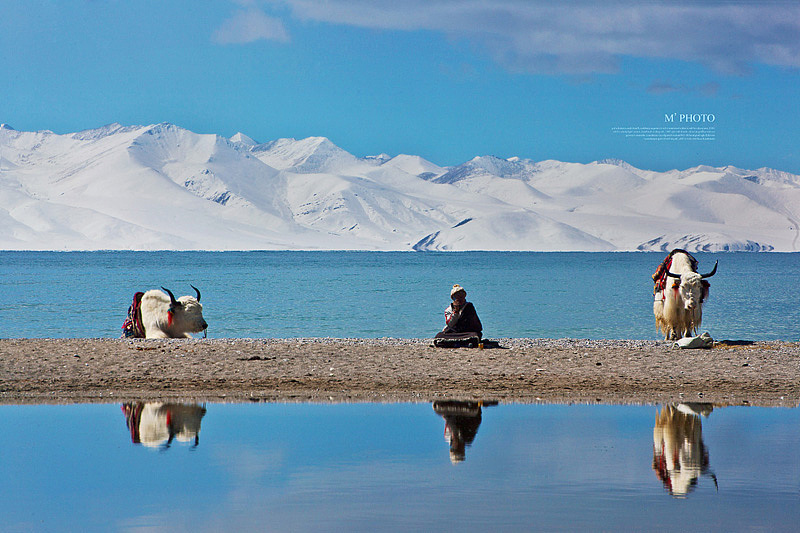 || 設計眼光去攝影 || 西藏 #出发的勇气2014#（图ZMjA1MjYzNDA=） - 风光摄影 - 站酷设计师缪MIAO原创素材 - 站酷ZCOOL