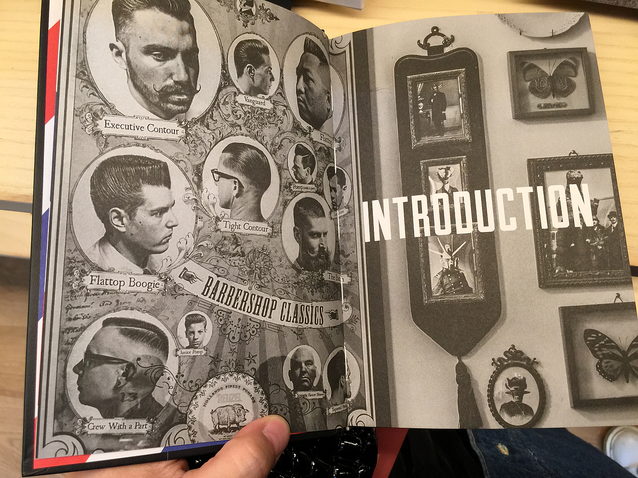 书籍封面（图ZMjM5NzM4NjEy） - 书籍/画册 - 站酷设计师美烙品牌设计原创素材 - 站酷ZCOOL