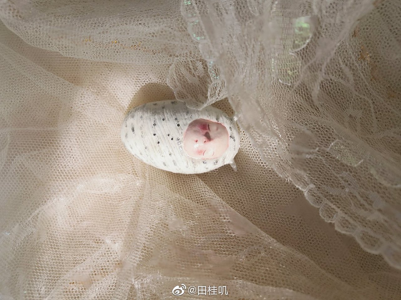 仙气手作艺术品（图ZMTg0MzU0MjMy） - 手办/模玩 - 站酷设计师田桂叽原创素材 - 站酷ZCOOL