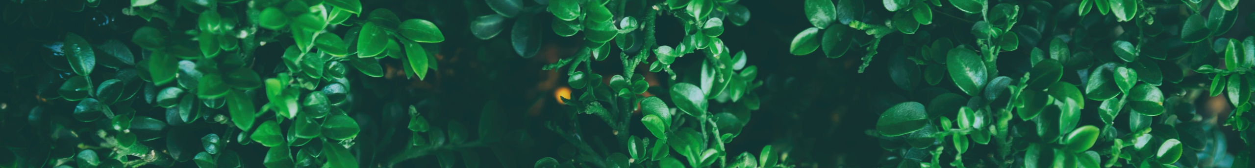 闲菜的个人主页（封面预览） - 主页封面设置 - 站酷设计师闲菜原创素材 - 站酷ZCOOL