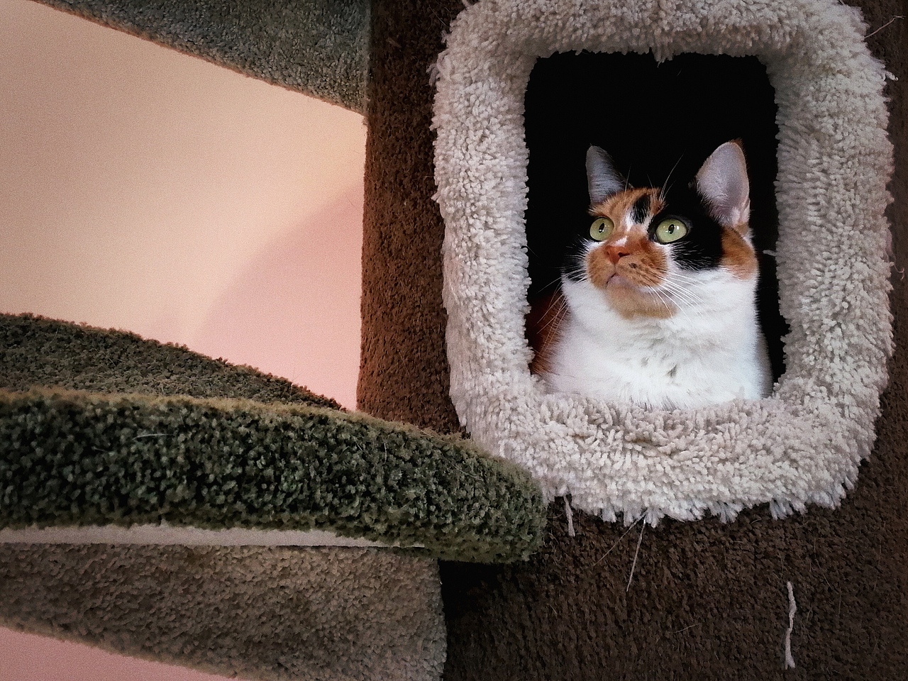 摄影作品 · 慧影间