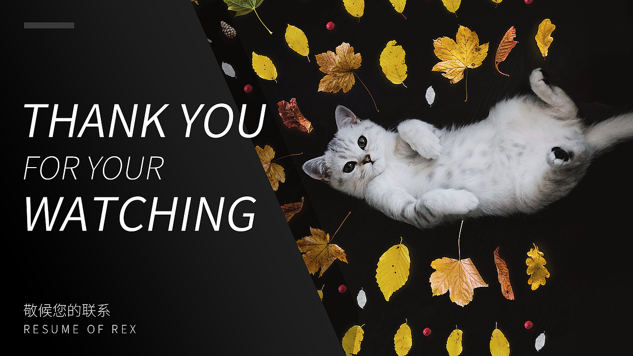 2019简历（图ZMTYwMjg3NDUy） - 海报 - 站酷设计师青墨雪Rex原创素材 - 站酷ZCOOL