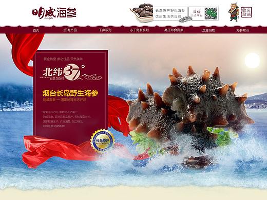 海参首页 电商网页设计