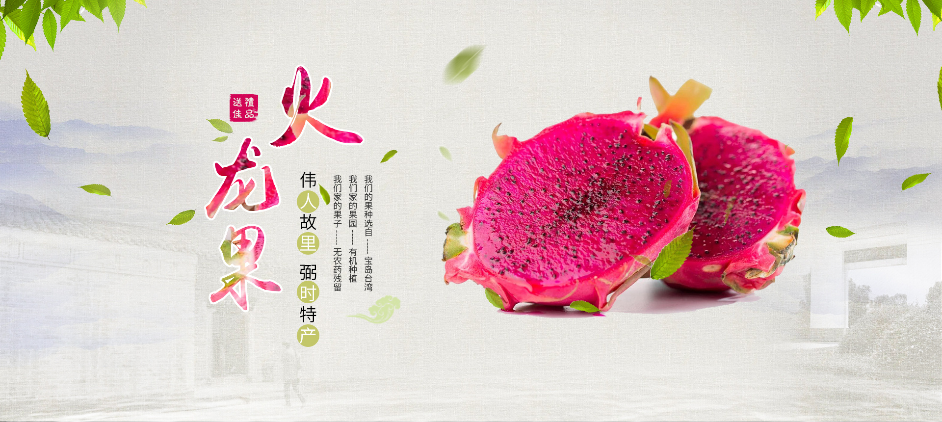 火龙果banner|网页|banner/广告图|姑姑箘 - 原创作品 - 站酷 (zcool)