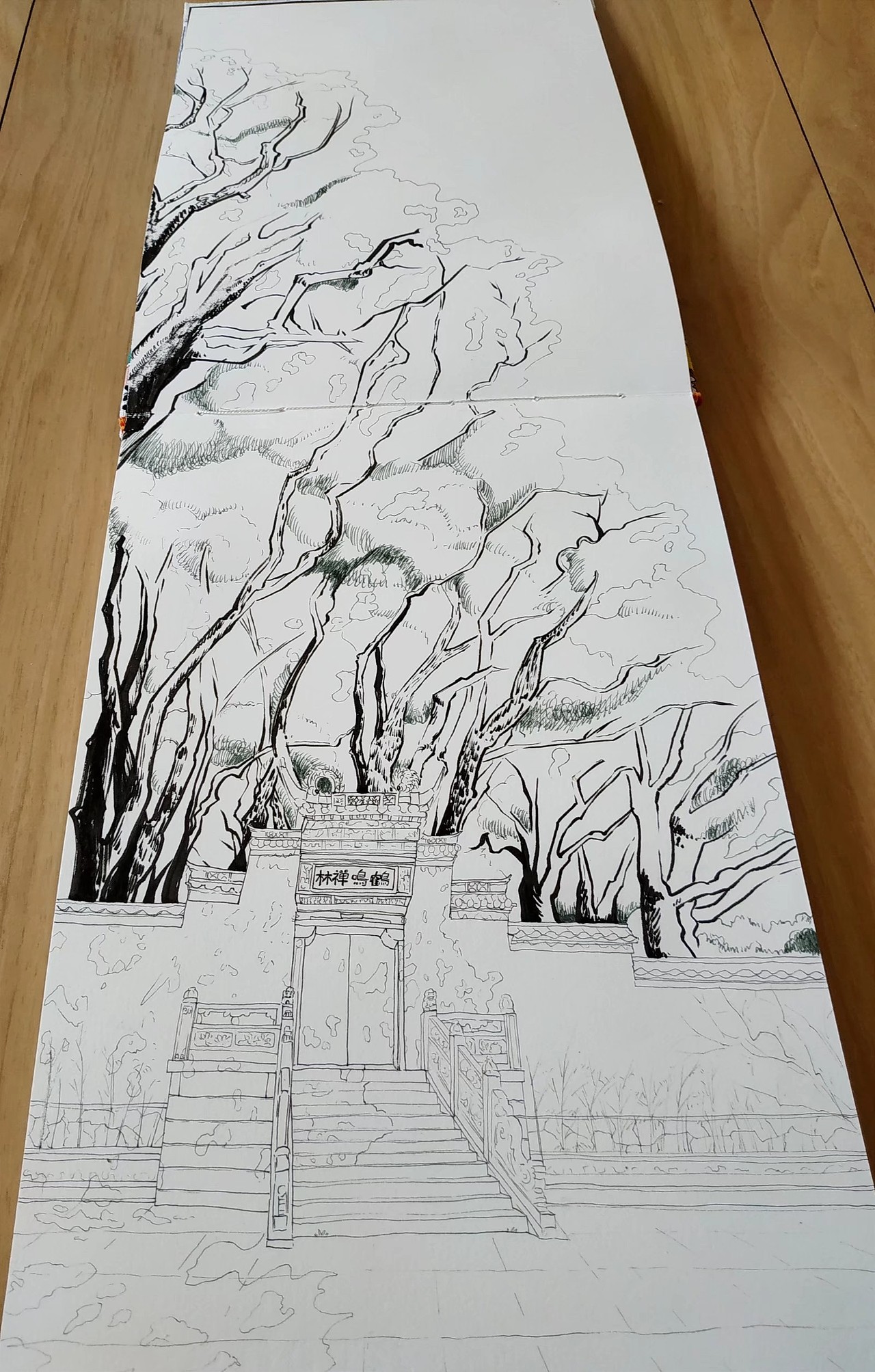 原来童话中的参天大树真的存在！（图ZMjk1MzM3MTQ4） - 绘画 - 站酷设计师阿菜绿狗狗和干仔原创素材 - 站酷ZCOOL