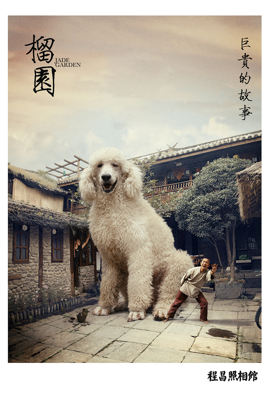 出售自家养红白花巨贵。 - 宠物犬交易 - 猛犬俱乐部-中国具有影响力的猛犬网站 - Powered by Discuz!