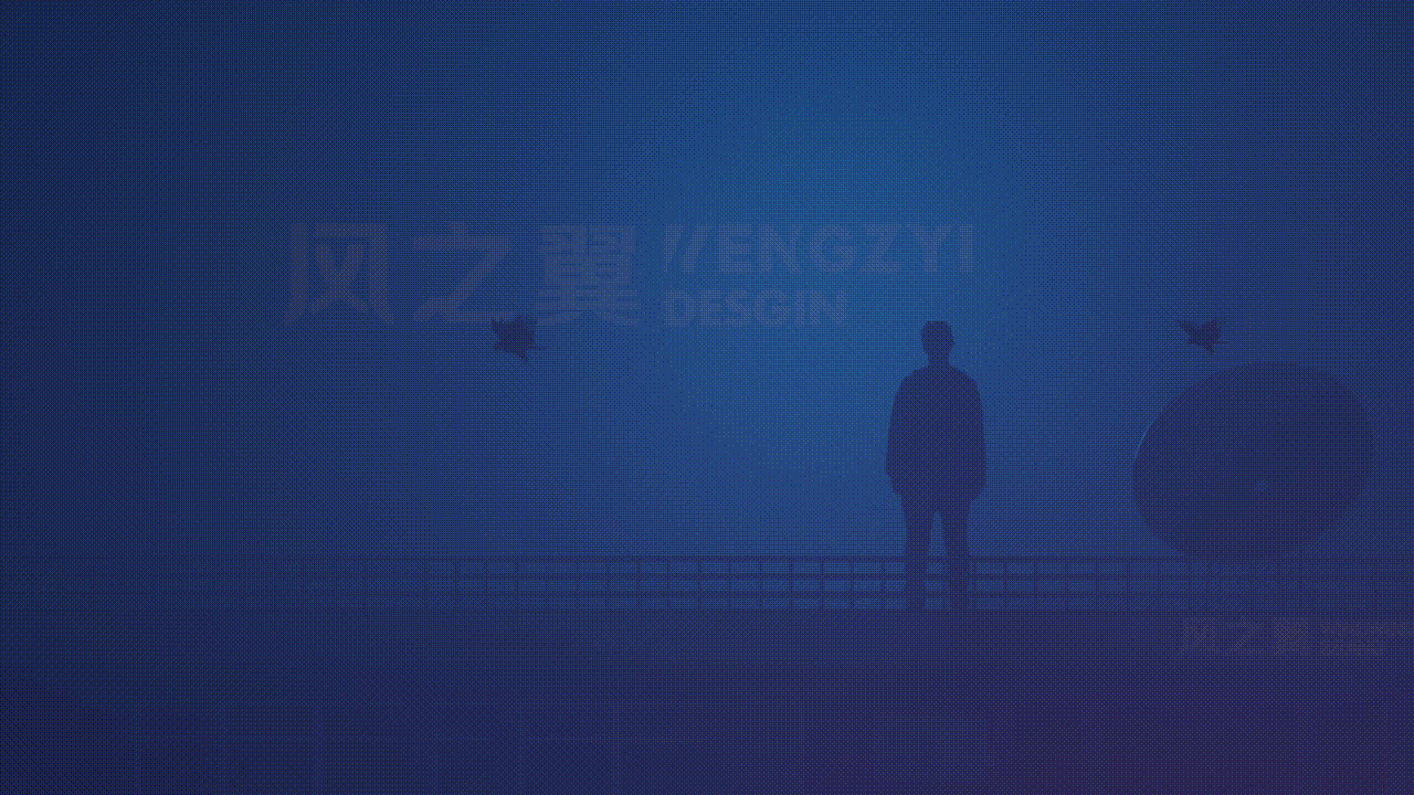 FENGZYI | 品牌设计