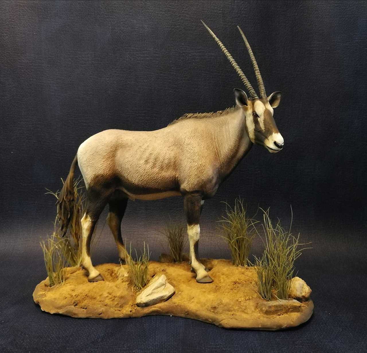 剑羚 动物手办 gk