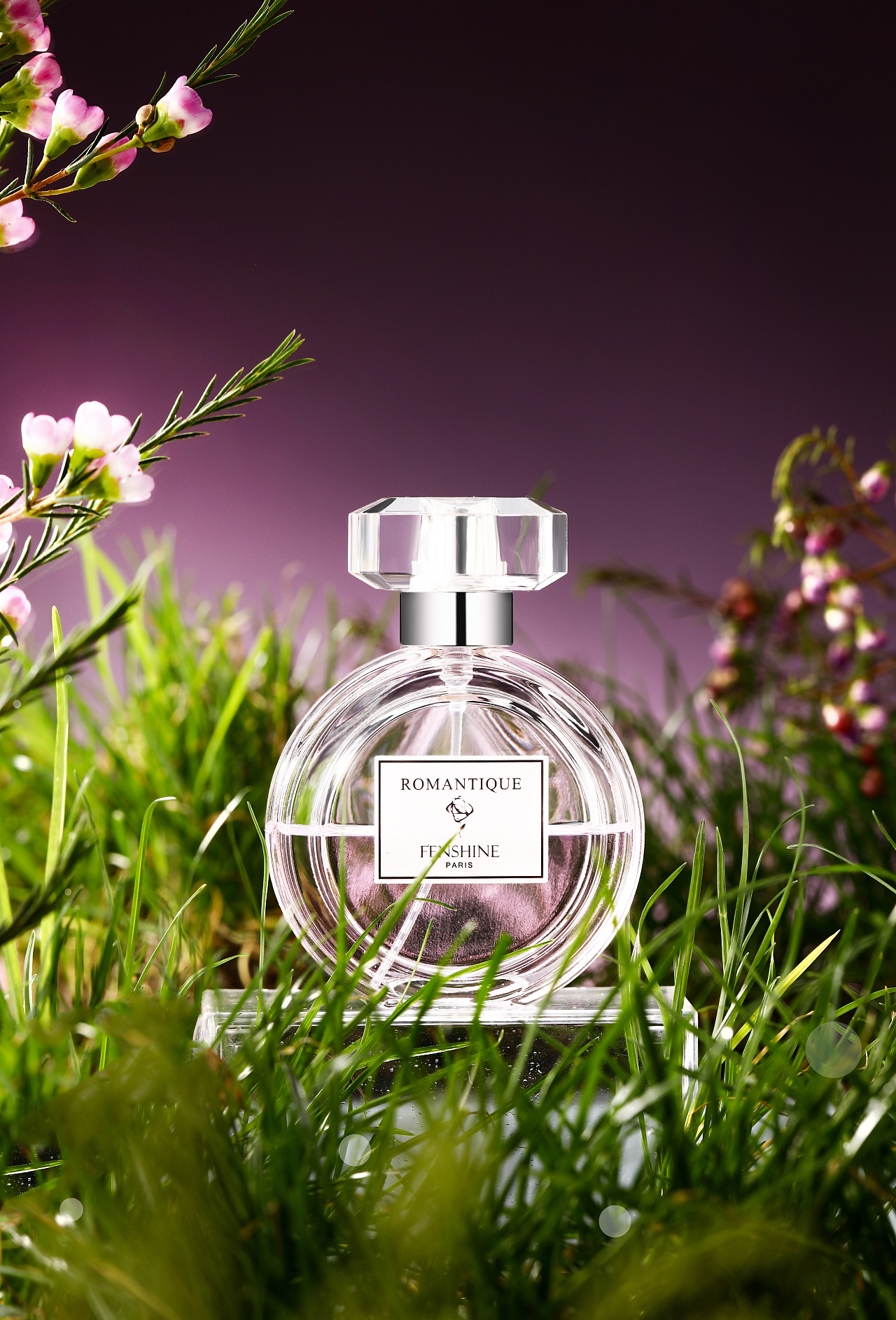 静物摄影香水|焦糖猫