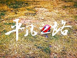 平凡之路：寶寶的玩具小車·帶給他的探索精神