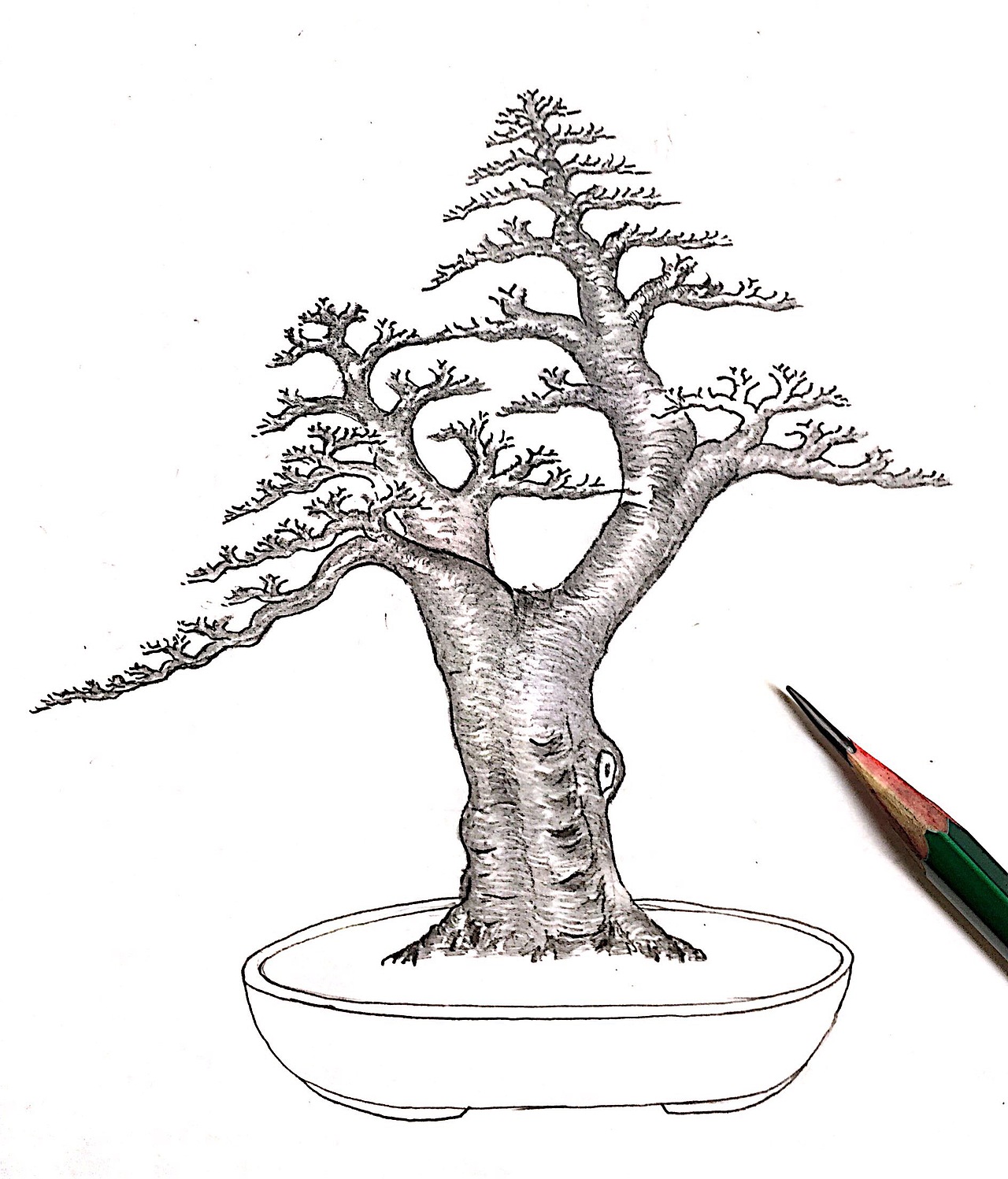 吕绍武手绘盆景设计效果图（图ZMTY4MDkwNTU2） - 绘画 - 站酷设计师慧武原创素材 - 站酷ZCOOL