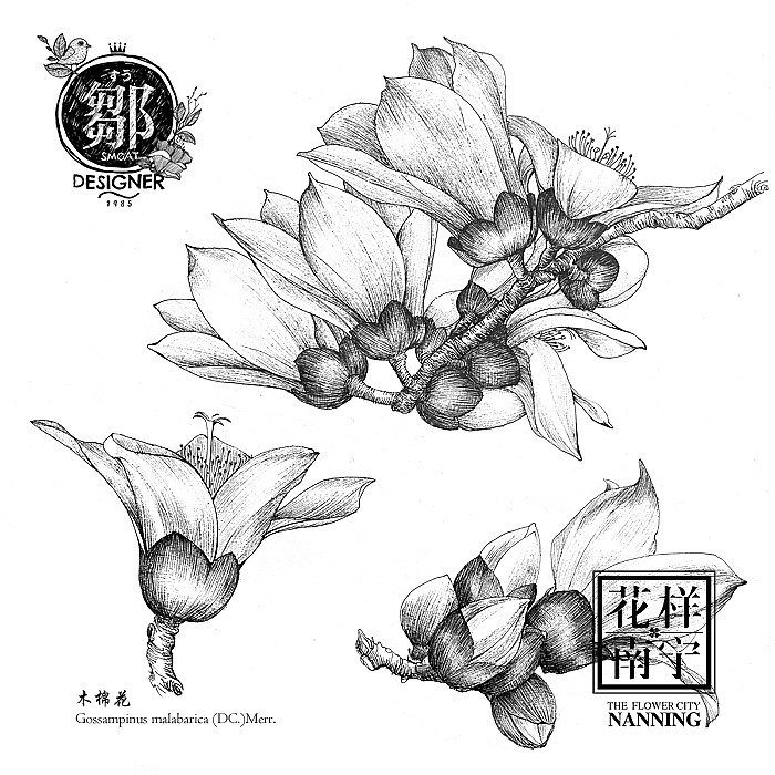 花卉插画及邮折设计（图ZNTE5MTE4NDg=） - 商业插画 - 站酷设计师鄒慶原创素材 - 站酷ZCOOL