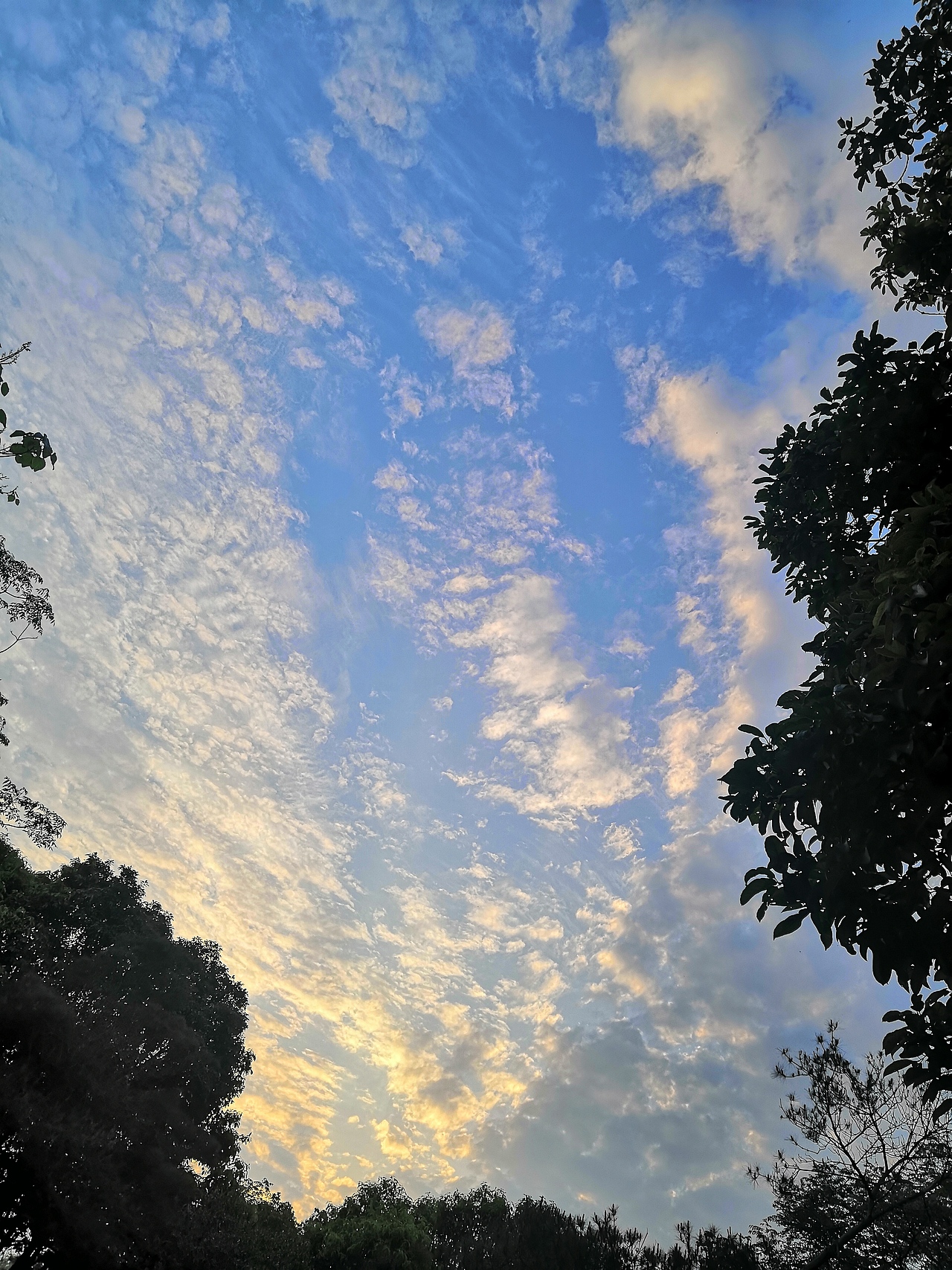 都是用手机拍的喜欢就关注一下吧嘻嘻