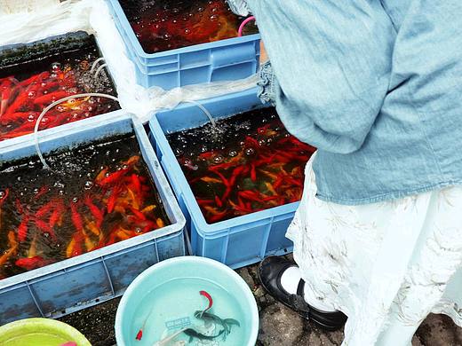 记录一周一逛之地。（个人主页-ZNjU1NDI3NjA=） - 人文/纪实摄影 - 站酷设计师想粗去丸原创素材 - 站酷ZCOOL