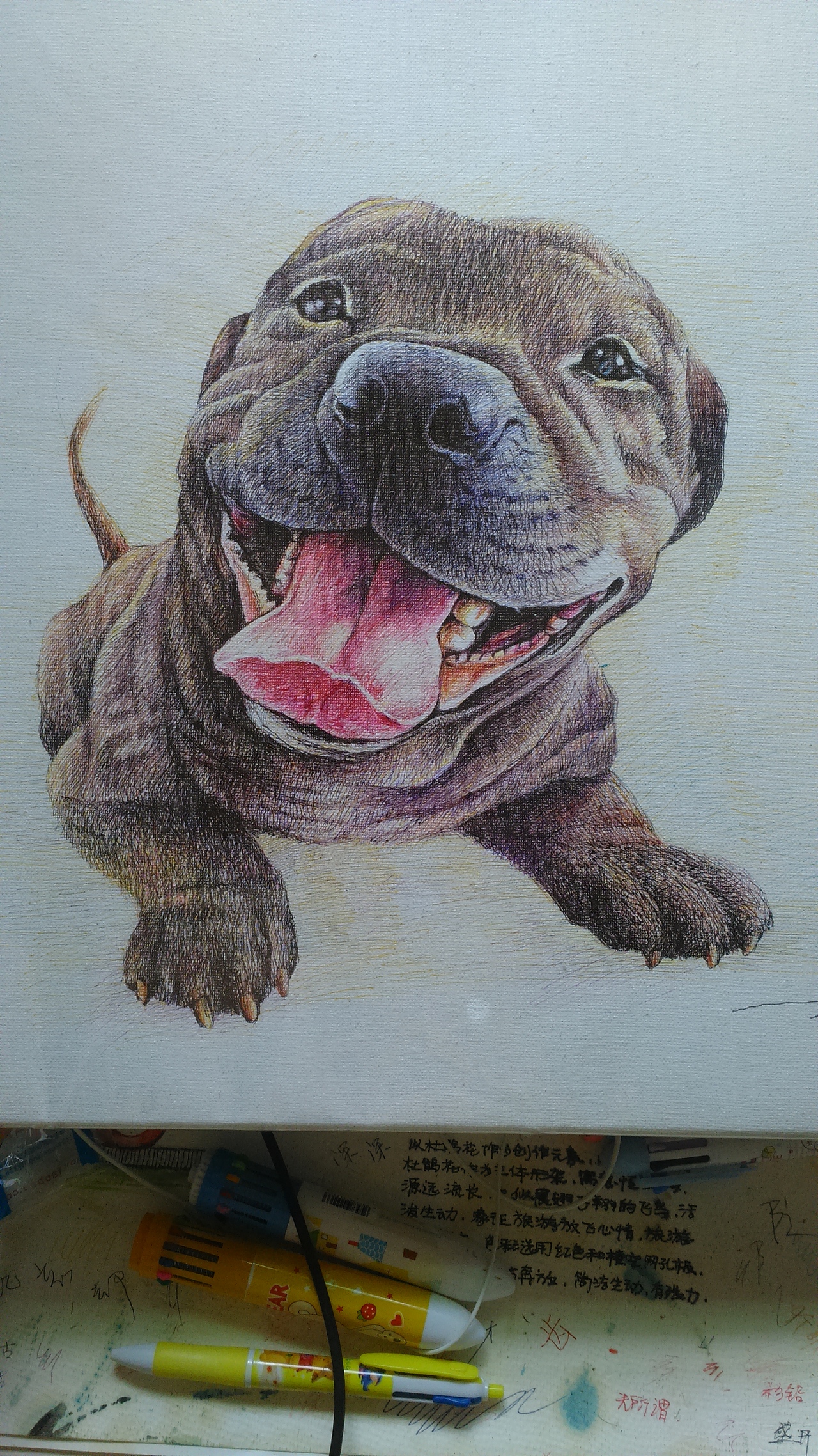 圆珠笔动物系列