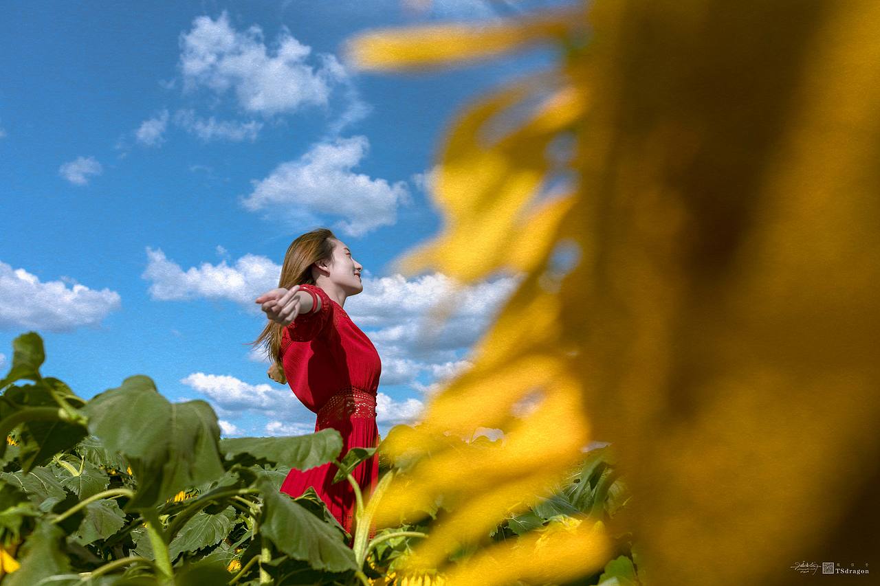 《红颜笑》（图ZMTc3NTEzMTQw） - 人像摄影 - 站酷设计师唐少龙原创素材 - 站酷ZCOOL