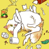 Ribito的头像
