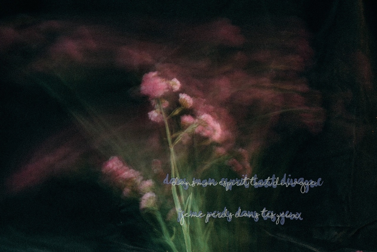 勿忘我（图ZMjA3MTM2NDI4） - 产品摄影 - 站酷设计师丶荧光乌贼原创素材 - 站酷ZCOOL