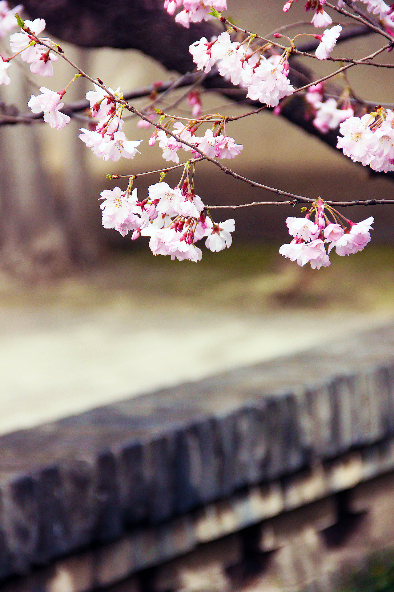 给这座城再留下点记忆