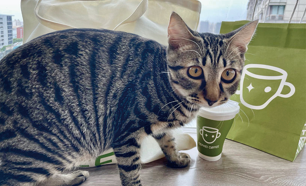 CEPHEI COFFEE 奢侈 |  用符号打造品牌认知