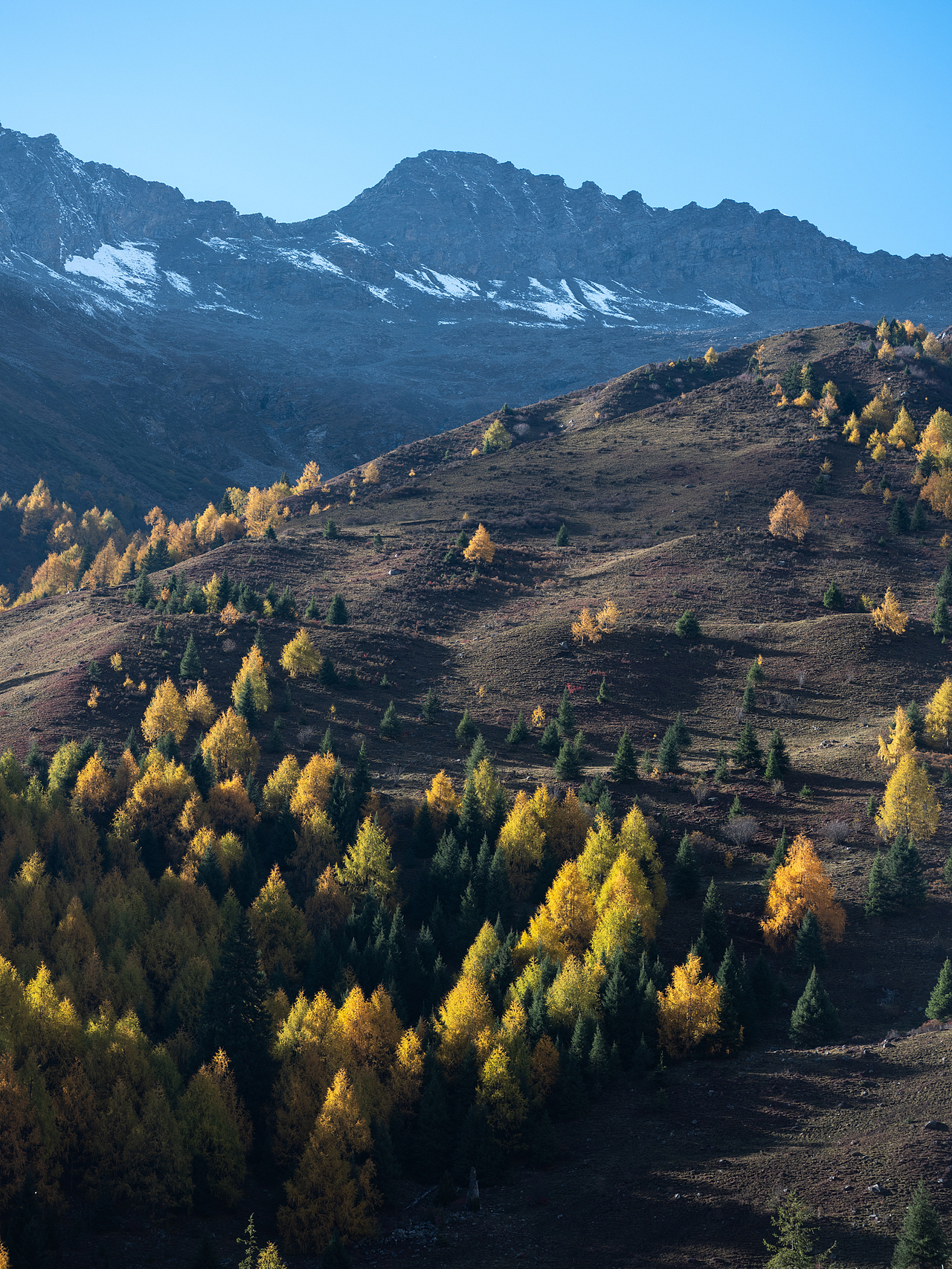 不如亲眼所见贡嘎雪山