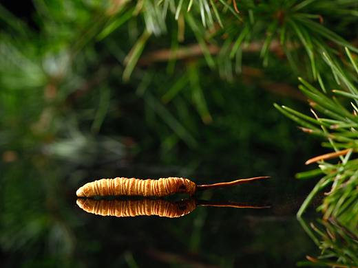 几款产品,之前拍的