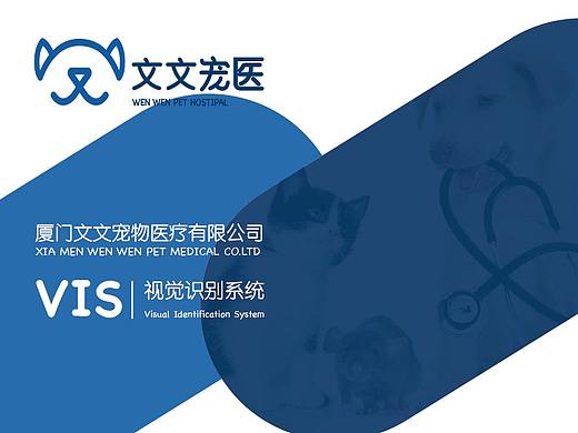 文文宠医VIS
