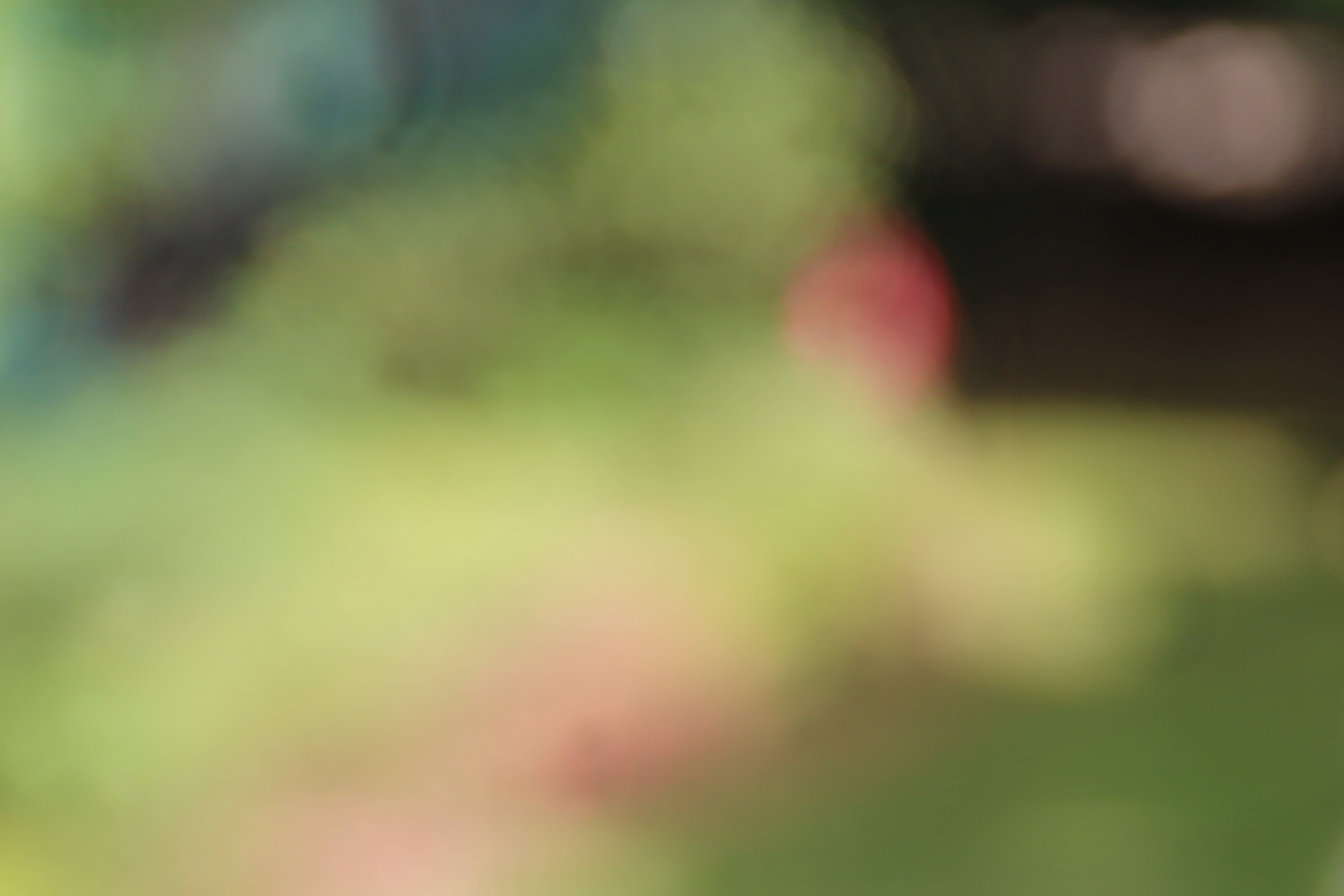 模糊|摄影|风光|huaua果果 - 原创作品 - 站酷 (zcool)