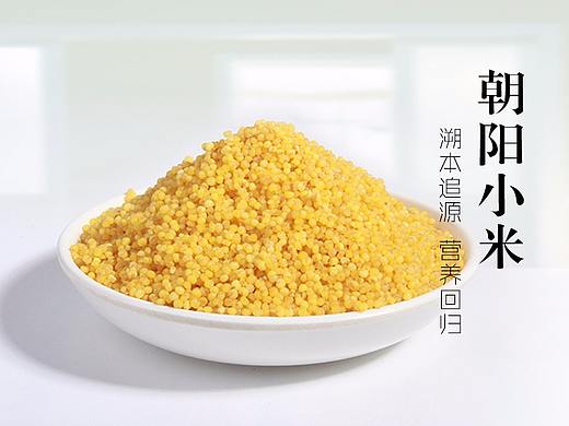 京东众筹-朝阳小米