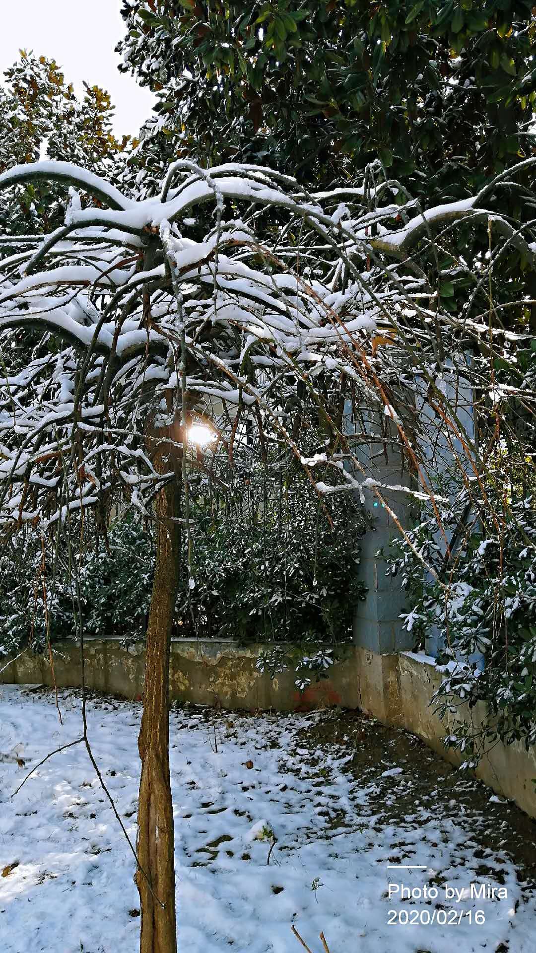 手机摄影 雪景 宝宝照