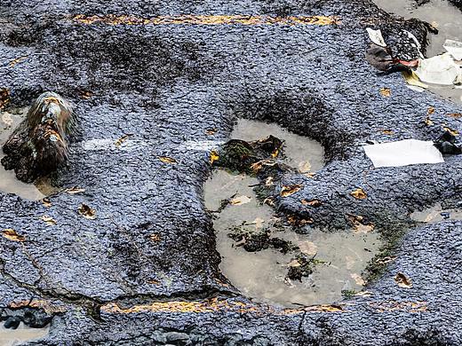 公路（个人主页-ZNTc3ODYxNjg=） - 其他平面 - 站酷设计师葫芦娃D原创素材 - 站酷ZCOOL