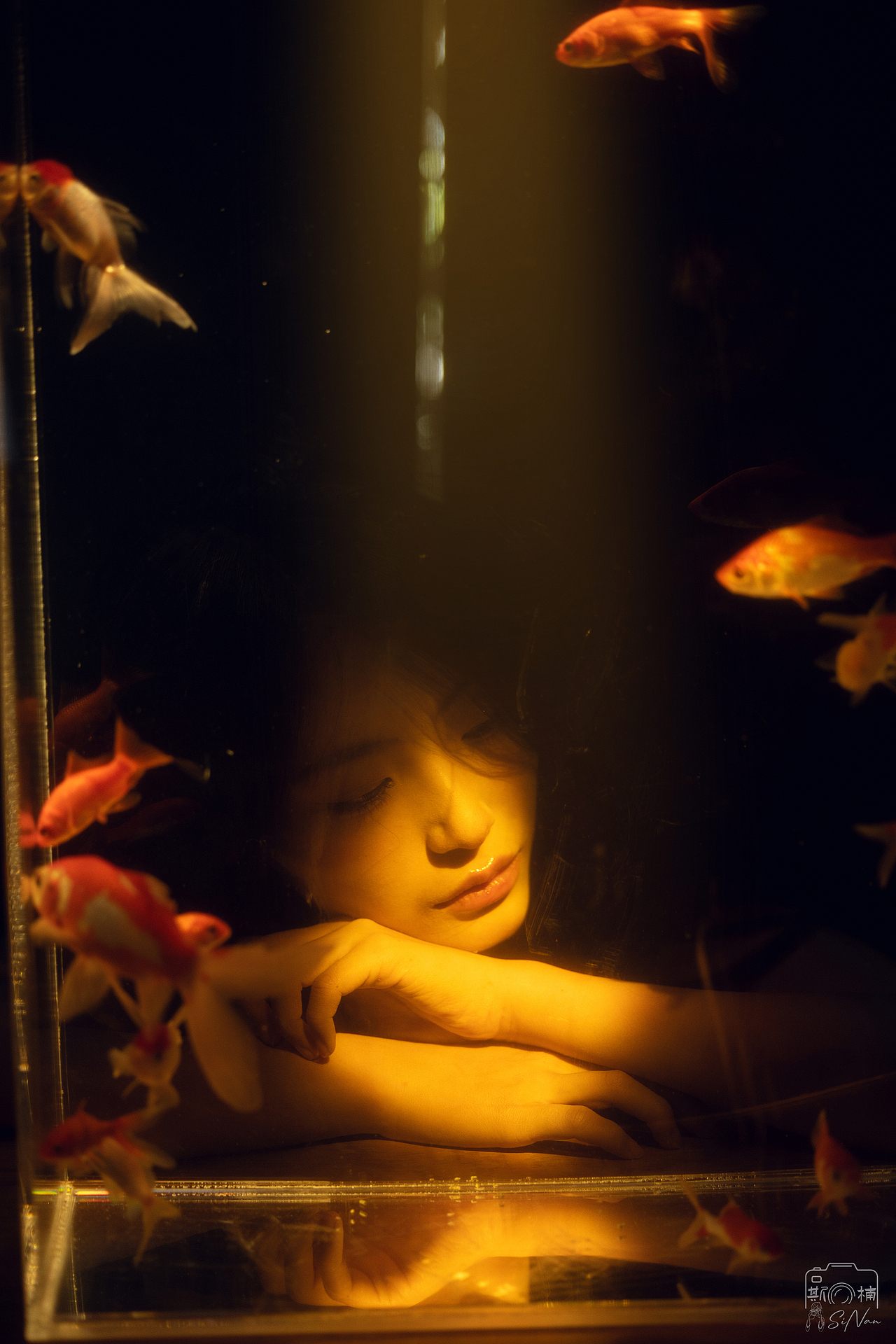 星不曾灭,灭的是阑珊灯火