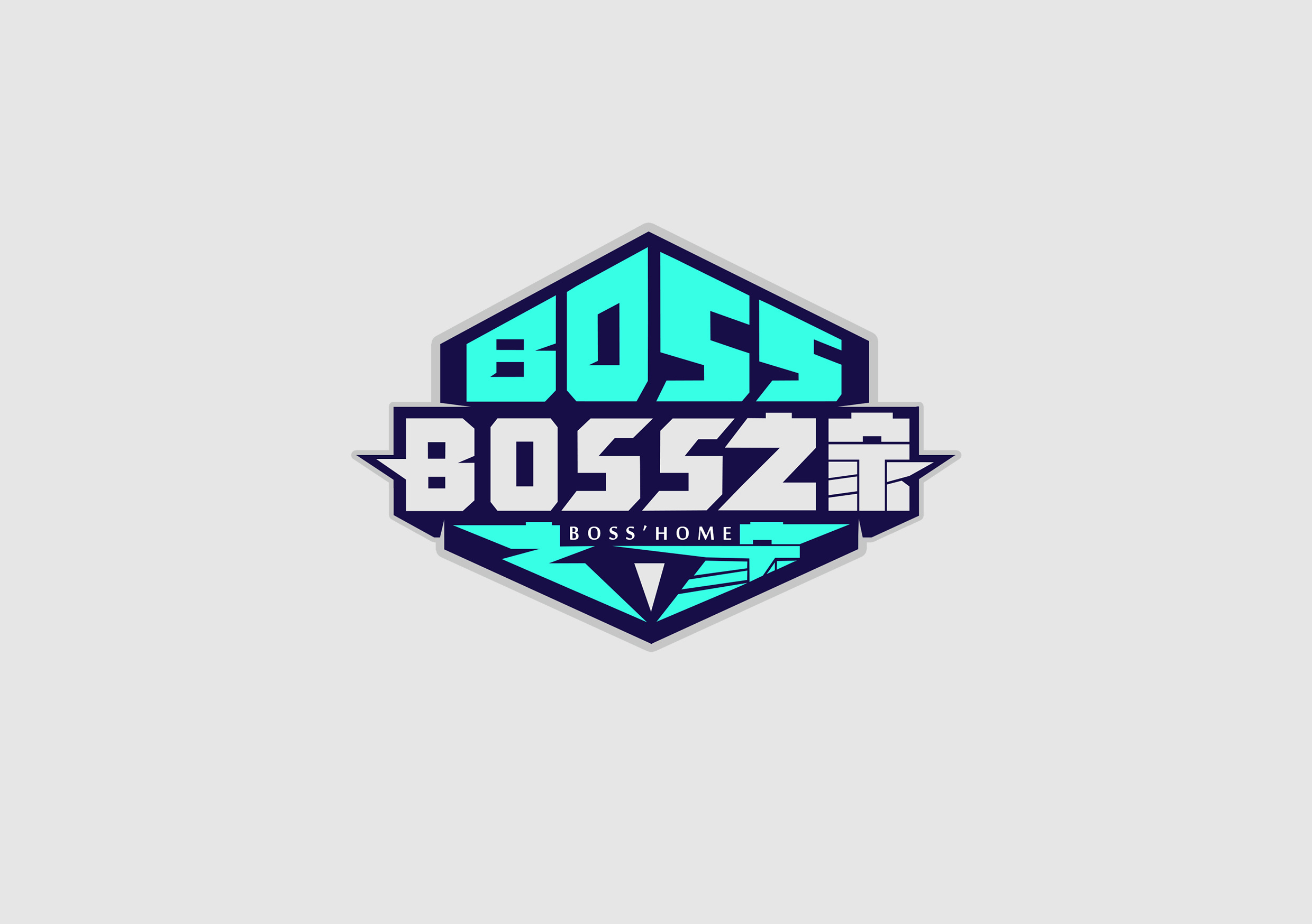 boss之家 logo设计