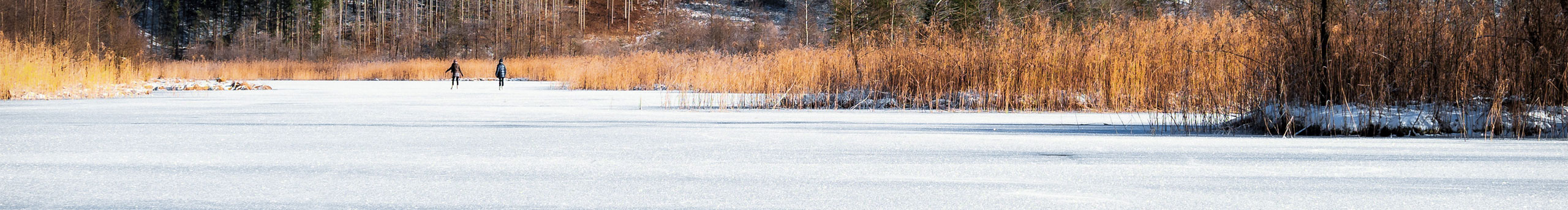 如期erz的个人主页（封面预览） - 主页封面设置 - 站酷设计师如期erz原创素材 - 站酷ZCOOL