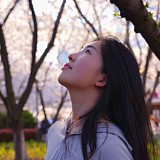 Z512015714的头像