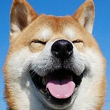 LLPLL的头像