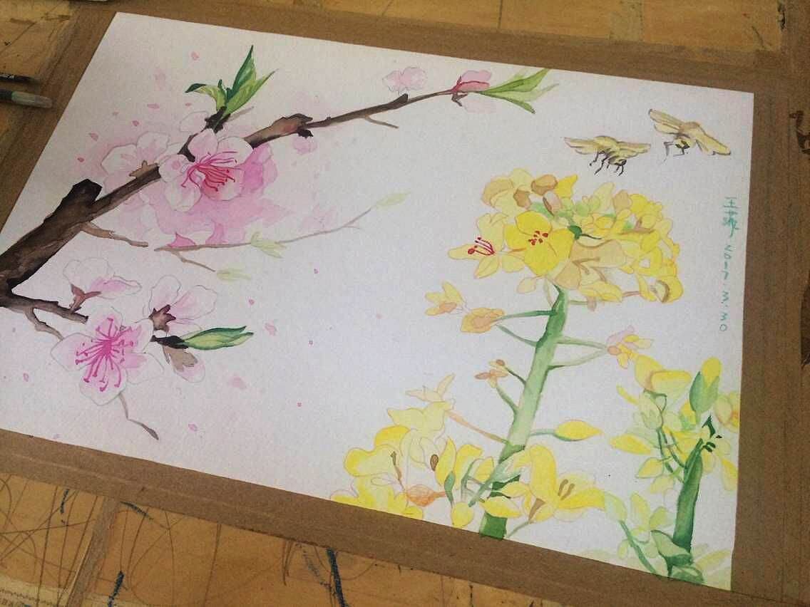水彩画练习-春花（图ZNzUzNzU5MTY=） - 商业插画 - 站酷设计师xiaohulu原创素材 - 站酷ZCOOL